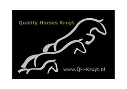 quality horses kruyt