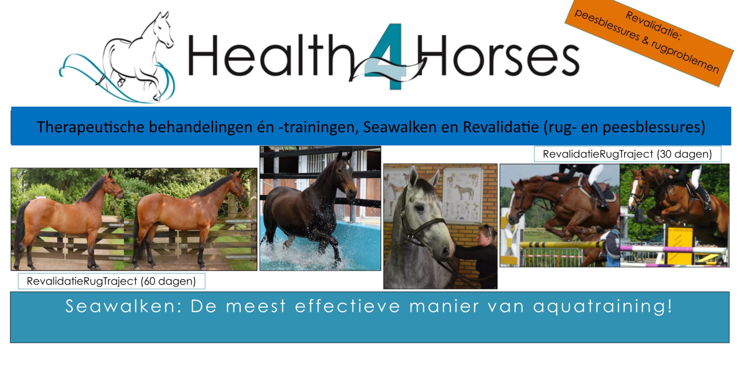 Health4Horses