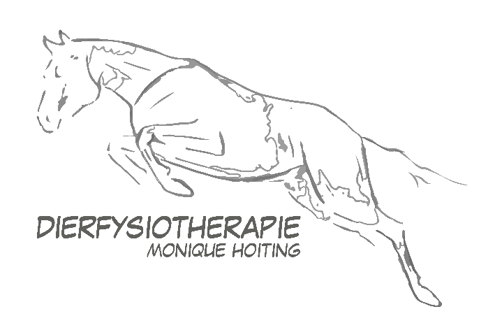 Dierfysiotherapie Monique Hoiting